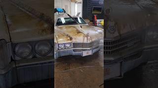 First Wash in 40 YEARS 🚘💕 BarnFind CadillacEldorado AbandonedCars Detailing DetailDane [upl. by Catarina847]