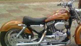 Harley Davidson Sportster Bobbers and Choppers [upl. by Rives]