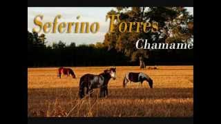 Seferino Torres  Chamamé [upl. by Ahsain]