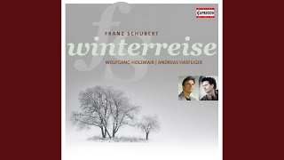 Winterreise Op 89 D 911 No 11 Fruhlingstraum [upl. by Siramed]