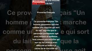 Proverbe Français  Un homme paresseux marche comme une mouche qui sort du lait shorts [upl. by Narih]