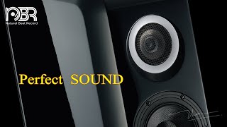 Best Voices amp Instruments  Greatest Audiophile Records 2023  Audiophile NBR Music [upl. by Portwin]