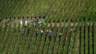 Moseldalen i Tyskland BernkastelKues Romantiska Mosel  Turism [upl. by Oderfigis]