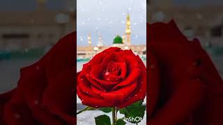 sobeautiful naat status shorts viralvideo uniquestar [upl. by Amlet]