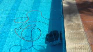 Kripsol Robotic Pool Cleaner at Embassy in Delhi  22 [upl. by Altis]