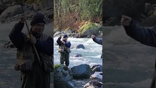 I caught a very dynamic salmon while fishingI ❤️ salmon fishing Vedder river Canada 🇨🇦 20 [upl. by Chouest]