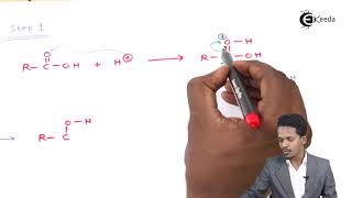 Mechanism of Esterification Reaction  Aldehydes Ketones and Carboxylic Acids  Chemistry Class 122 [upl. by Notsae]