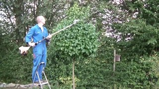 Kugelbaum schneiden mit dem Stihl Kombisystem Heckenschneider mit Schaftverlängerung Hedge Trimmer [upl. by Enert]