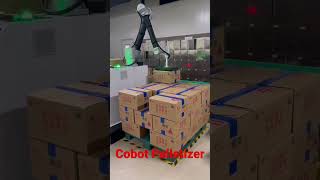 Cobot PalletizerRobotic Palletizer Easy to Operate Up to 12PPM Max Payload 30KG [upl. by Payson]