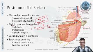 Parotid Gland amp Region [upl. by Adleme]