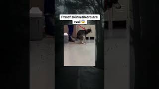 Skinwalker in Real Life 😱 😱 shorts ytshort scary [upl. by Ethan36]