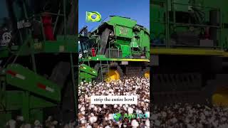 What Makes This Cotton Harvester So Efficient [upl. by Kostival]