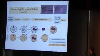 Techniques in Germinal Vesicle Spindle and Pronuclear Transfer  Hui Liu [upl. by Esinal696]