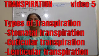 TYPES OF TRANSPIRATION BIOLOGY  ICSE CBSE Exam prepration [upl. by Ennaerb109]