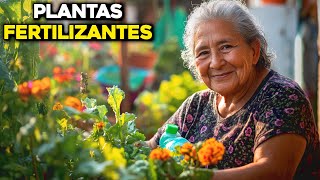 Cómo Usar Plantas Compañeras Como Fertilizantes Naturales [upl. by Noivaz]