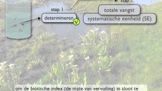 systematische eenheid en biotische index [upl. by Samp197]