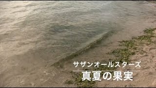 サザンオールスターズ真夏の果実 歌詞付き [upl. by Anica]