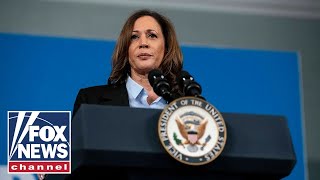 Harris aides point fingers at sexist media hurricanes for election loss [upl. by Jacie566]