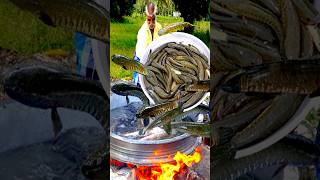 SNAKEHEAD MURREL FISH GRAVY🐟🔥  River Fish Cooking In Village shorts fish cooking [upl. by Norre]