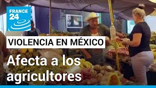 Agricultores mexicanos obligados a abandonar sus tierras ante extorsiones de grupos criminales [upl. by Scuram620]