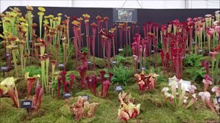 Gardeners World Live 2024 Walk Round Tour [upl. by Dimphia]