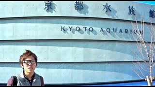 京都水族館行って来た！This is Kyoto Aquarium ！ [upl. by Addam]