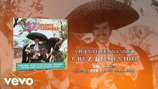 Vicente Fernández  Cruz de Olvido Cover Audio [upl. by Loresz97]