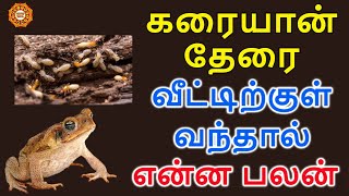 வீட்டிற்குள் தவளை தேரை கரையான் வந்தால் என்ன பலன்  therai thavalai veetukul vanthal enna palan [upl. by Anitselec65]