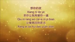 想你的夜  关喆 Xiang Ni De Ye Lyrics [upl. by Attennod640]