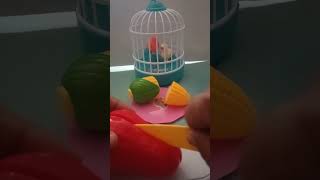 Cutting makopawax apple toys asmr [upl. by Enahc]