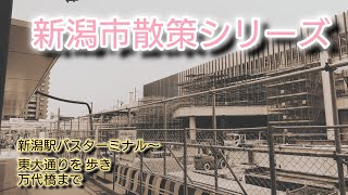 新潟市散策シリーズ 新潟駅バスターミナル～ 東大通りを歩き 万代橋まで [upl. by Anyzratak552]