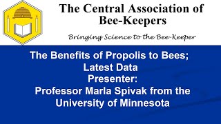 Benefits of Propolis to Honey Bees Newest Data  a talk by Marla Spivak [upl. by Suillenroc98]