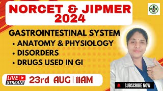 JIPMER  Mastering Digestive System Disorders Drugs and Anatomy Explained  MSN jipmer [upl. by Benco]