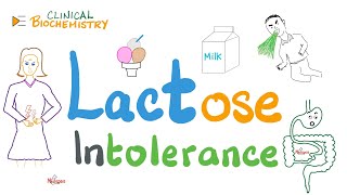 Lactose Intolerance Lactase Deficiency [upl. by Scarface]