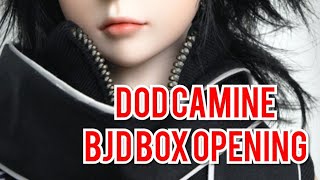 Dream of Doll Camine BJD Box Opening and Restringing [upl. by Nanda121]