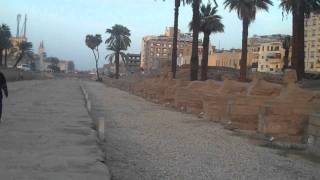 The Avenue of the Sphinxes Luxor Temple [upl. by Adnilreh]