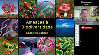 Aula  Biodiversidade e Preservação [upl. by Hacceber321]