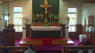 SSPXNZLIVE  Fifth Sunday after Pentecost  23rd June  Sung Mass [upl. by Wiersma]