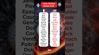 Les parties du corps humain en français et leur traduction en anglais quiz frenglish english [upl. by Anilys989]