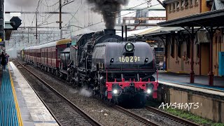 6029 Garratt Steam Locomotive leads HUGE consist with 4501 4201 amp 4916 Enroute to Bathurst NSW [upl. by Ingeborg163]