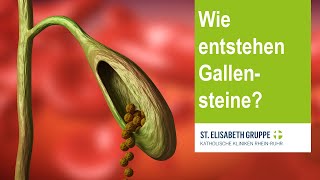 Wie entstehen Gallensteine [upl. by Armmat]