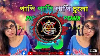 পাপি পাপি পাপি চুলো।dj remix। papi papi papi culo newdjsongsp8rn [upl. by Larson]