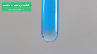 56  CuSO4  NaOH  Copper Sulfate  Sodium hydoxideðŸ’š [upl. by Harifaz]