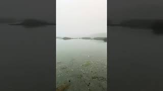 Murrells Inlet ￼fishing letsgoviral fishing saltlife beachtown riverratfishing eastcoast [upl. by Albright415]