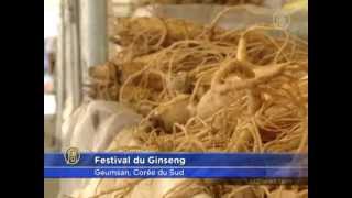 Le Ginseng Rouge de Corée bienfaits millénaires [upl. by Hnid]