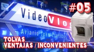 TOLVAS  VENTAJAS E INCONVENIENTES  VLOG05 [upl. by Alekahs564]