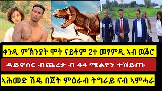 ፖሊስ ዉቕሮ ምኽንያት ሞት 2ተ መፃምዲ ኣፃስዩ፣ዳይኖሰር ብ 44 ሚልየን ተሸይጡ tdf targetmedia [upl. by Edan]