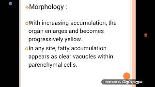 Intracellular Accumulations amp Calcification [upl. by Nerual]