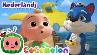 Daar in de baai ⛵  JJs Animal Time  Moonbug Kids Nederlands  Kindertekenfilms [upl. by Reynold]