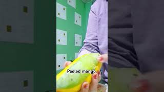 sweet mango sweetmangofypspotted asmr [upl. by Irmina773]